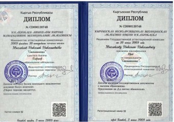 Документы Михайлов Николай Николаевич
