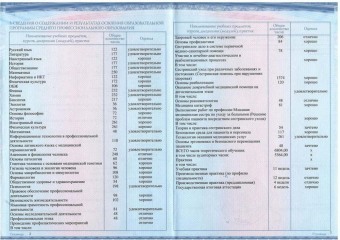 Документы Сдобнова Юлия Михайловна