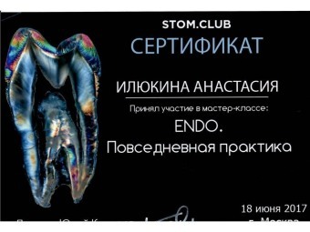 Документы Торгашева Анастасия Сергеевна
