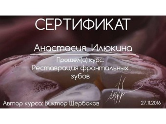 Документы Торгашева Анастасия Сергеевна